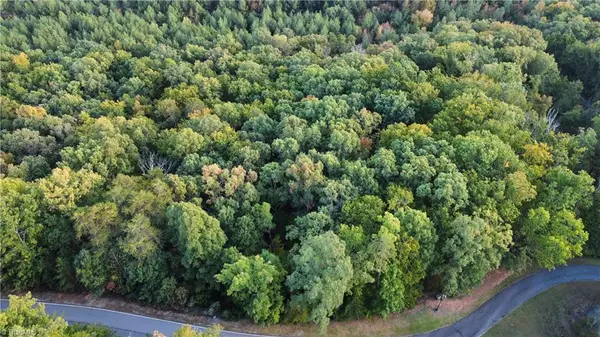 593 Boulder Ridge Drive, Denton, NC 27239