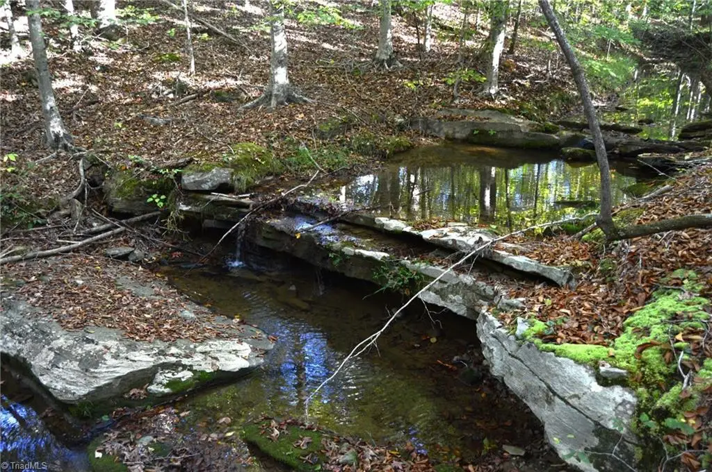 501 Barley Road, Reidsville, NC 27320 - Image #1