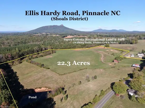 481 Ellis Hardy Road #22.3 Ac, Pinnacle, NC NC