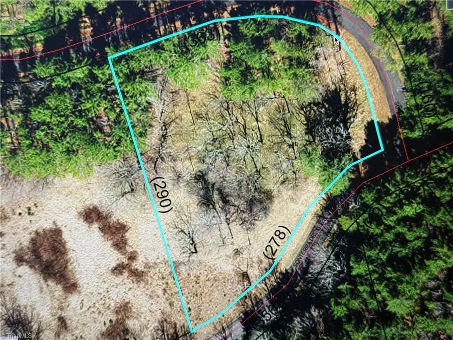 TBD Jake Blackburn Road, Walnut Hill, NC Lansing - Image #2