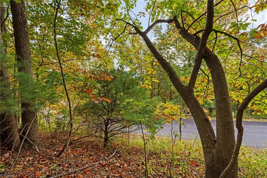 Lot 13 Ivy Ridge Road, Deep Gap, NC 28618 - Image #3