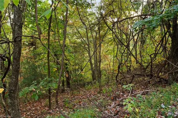 Lot 16 Little Ivy Lane, Deep Gap, NC 28618