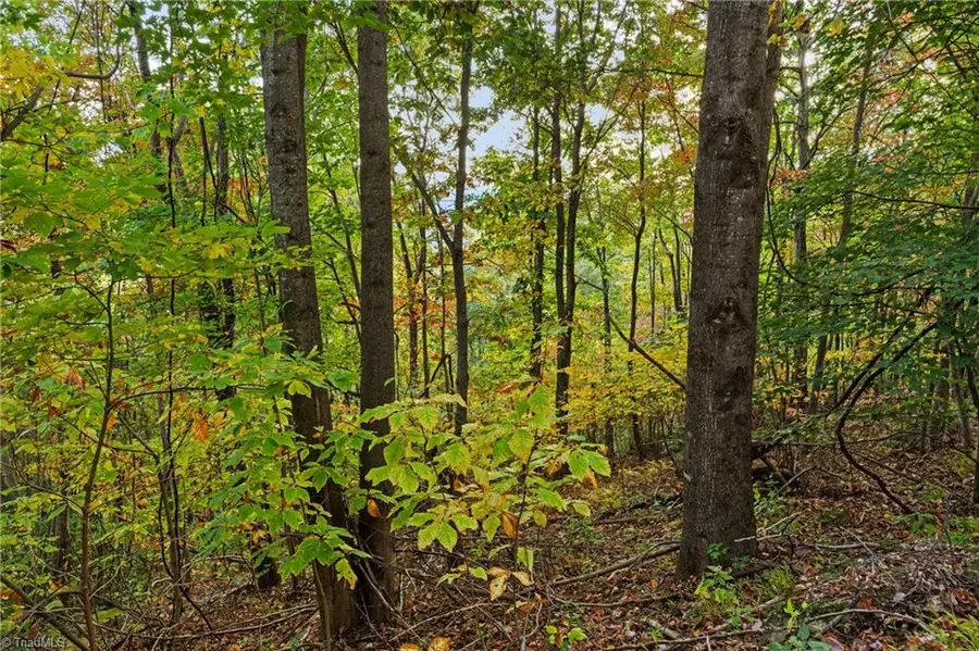 Lot 16 Little Ivy Lane, Deep Gap, NC 28618 - Image #2