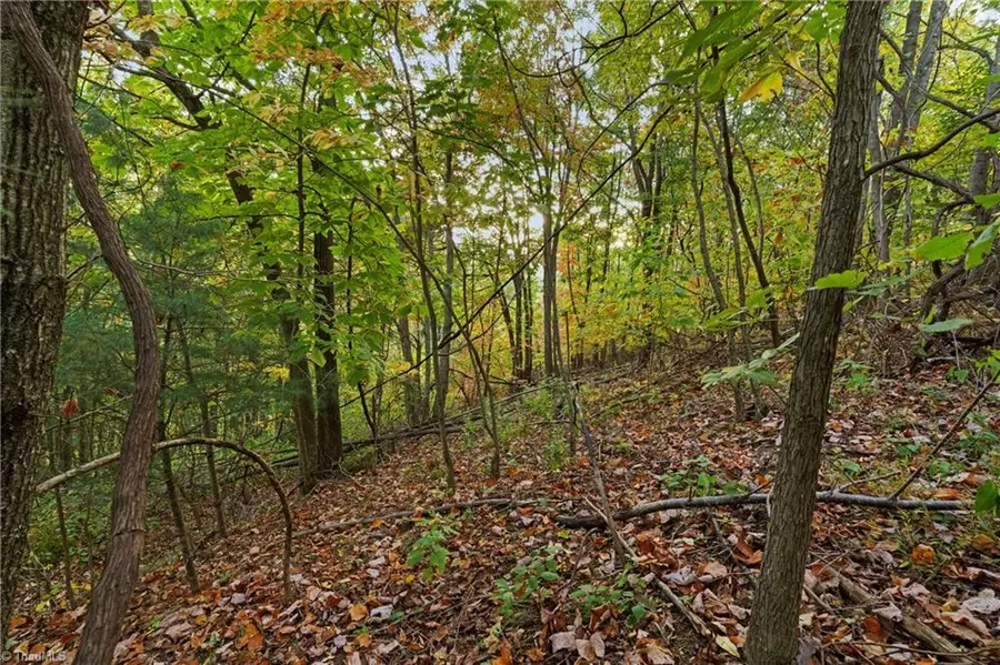 Lot 16 Little Ivy Lane, Deep Gap, NC 28618 - Image #3