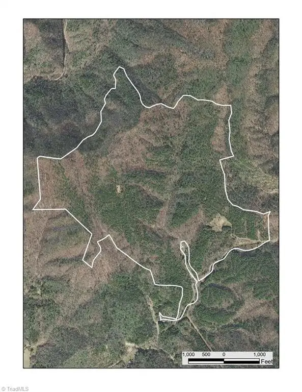 1501 Buckwheat Road, McGrady, NC 28649