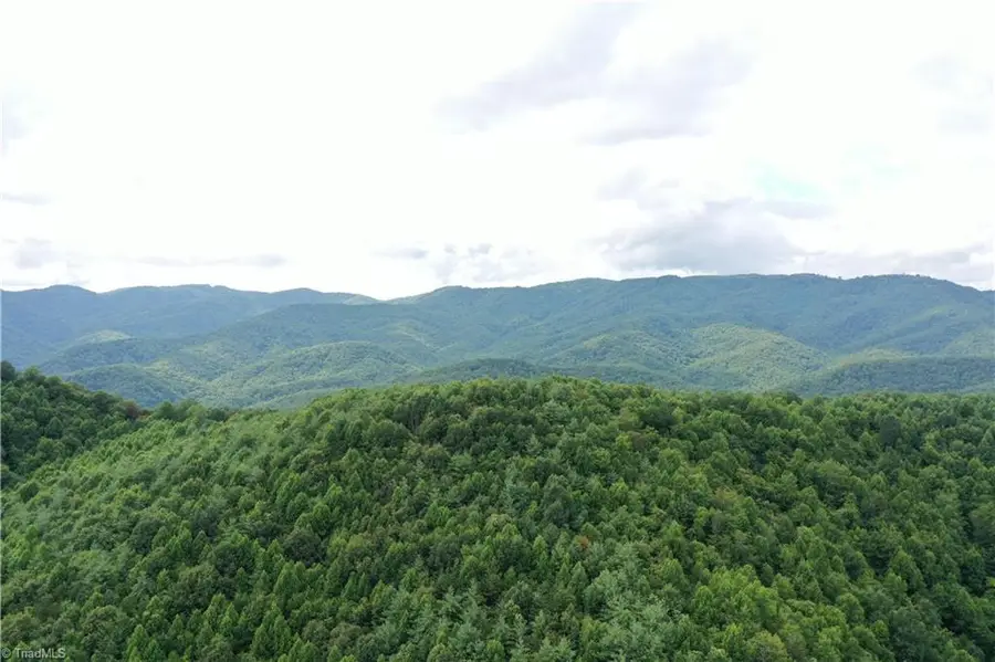 1501 Buckwheat Road, McGrady, NC 28649 - Image #3