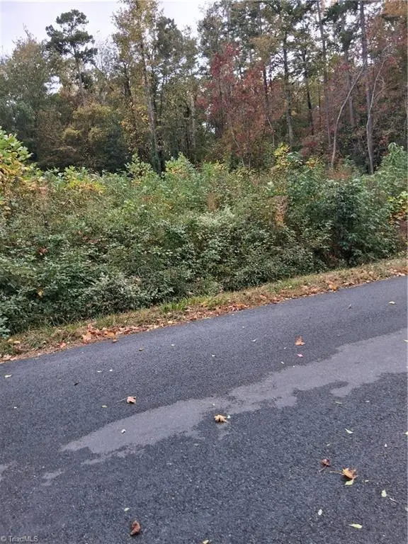 1010 High Rock Shores Drive, Lexington, NC 27292 - Image #2