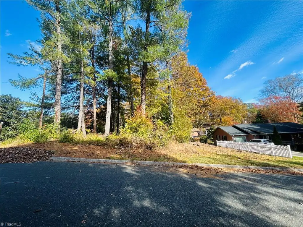 TBD Old Springs Road, Mount Airy, NC 27030 - Image #1