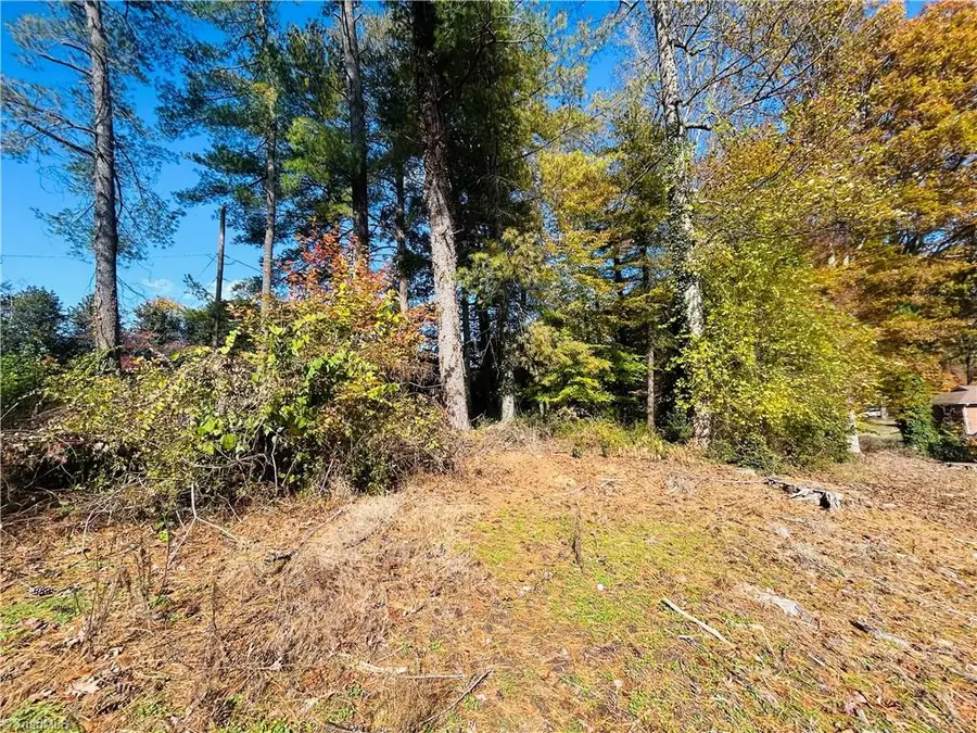 TBD Old Springs Road, Mount Airy, NC 27030 - Image #2