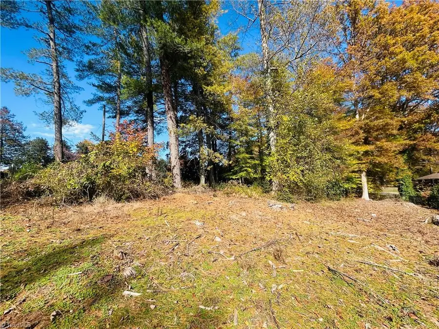 TBD Old Springs Road, Mount Airy, NC 27030 - Image #3