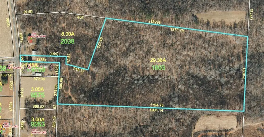 0 Buffalo Road, Sandy Ridge, NC 27046 - Image #1