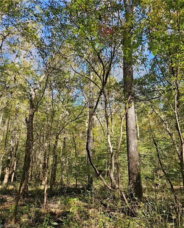 460 Mr Henry Road, Mocksville, NC 27028 - Image #3