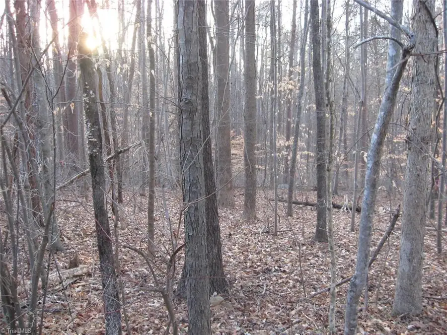 2973 Creek Point Place, Graham, NC 27253 - Image #3