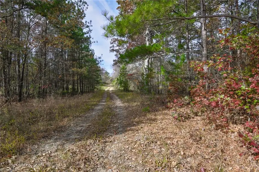 898 Sandy Cross Road, Reidsville, NC 27320 - Image #3