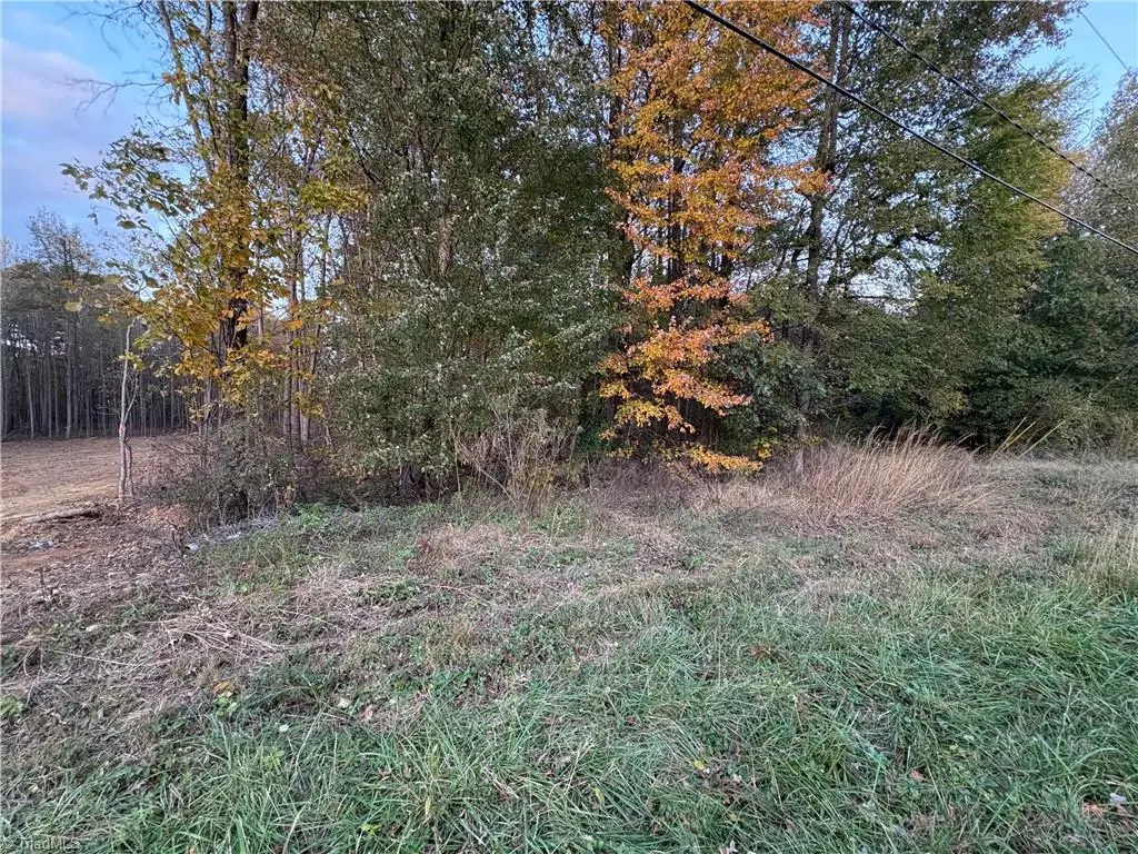 0 Davis Country Road, Randleman, NC 27317 - Image #1