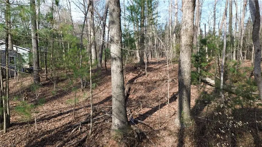 tdb Forest Hills Lane, Elkin, NC 28621 - Image #3