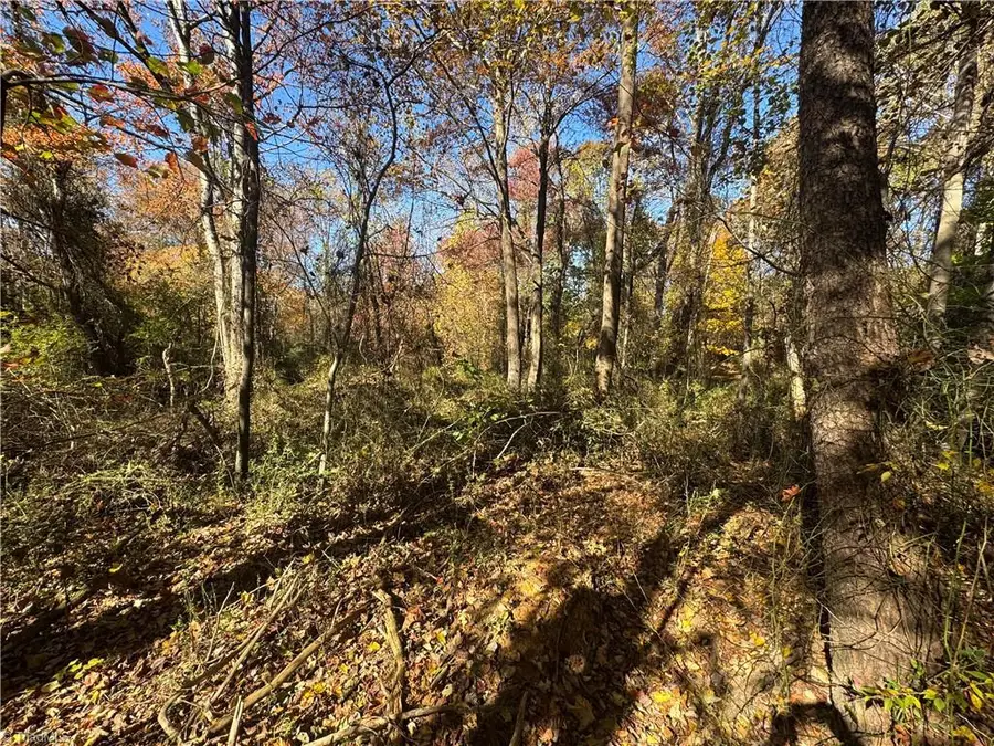 00 Day Drive, Hamptonville, NC 27020 - Image #3