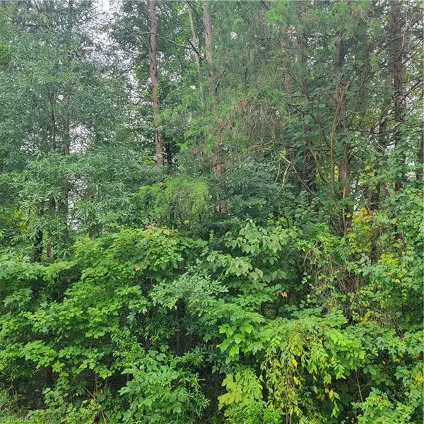 0 Ambridge Drive, Kernersville, NC 27284