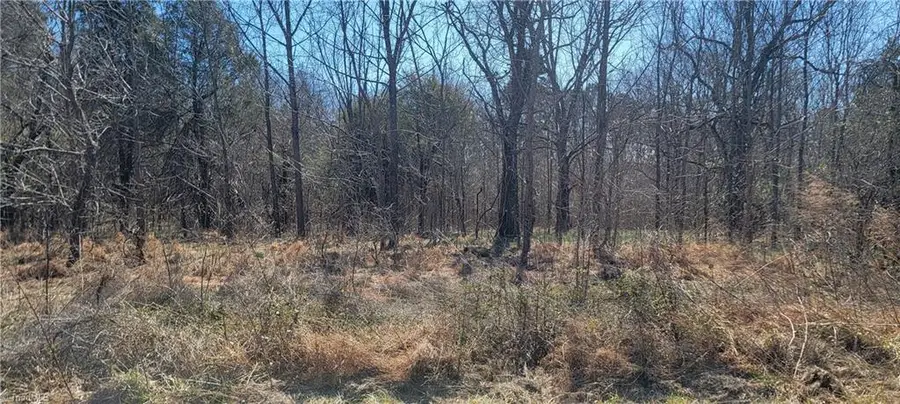 5430 Wild Turkey Road, Whitsett, NC 27377 - Image #3