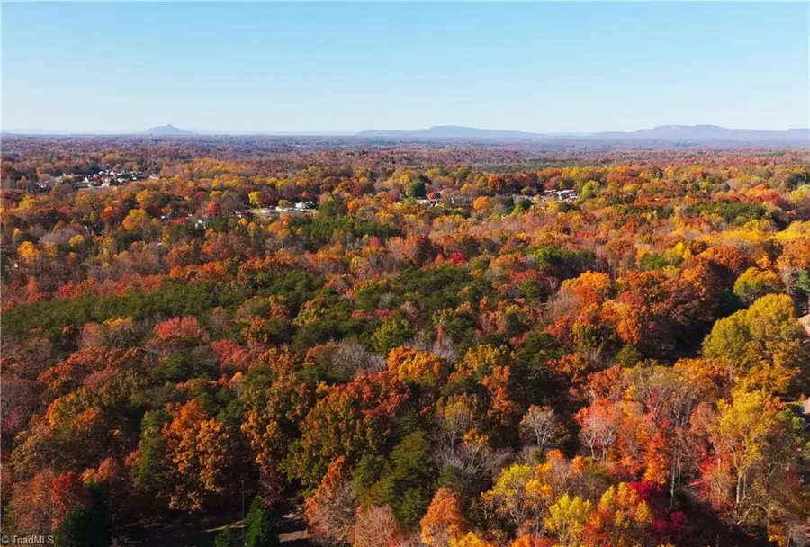 0 Old Hollow Road, Salem Chapel, NC 27105 - Image #2