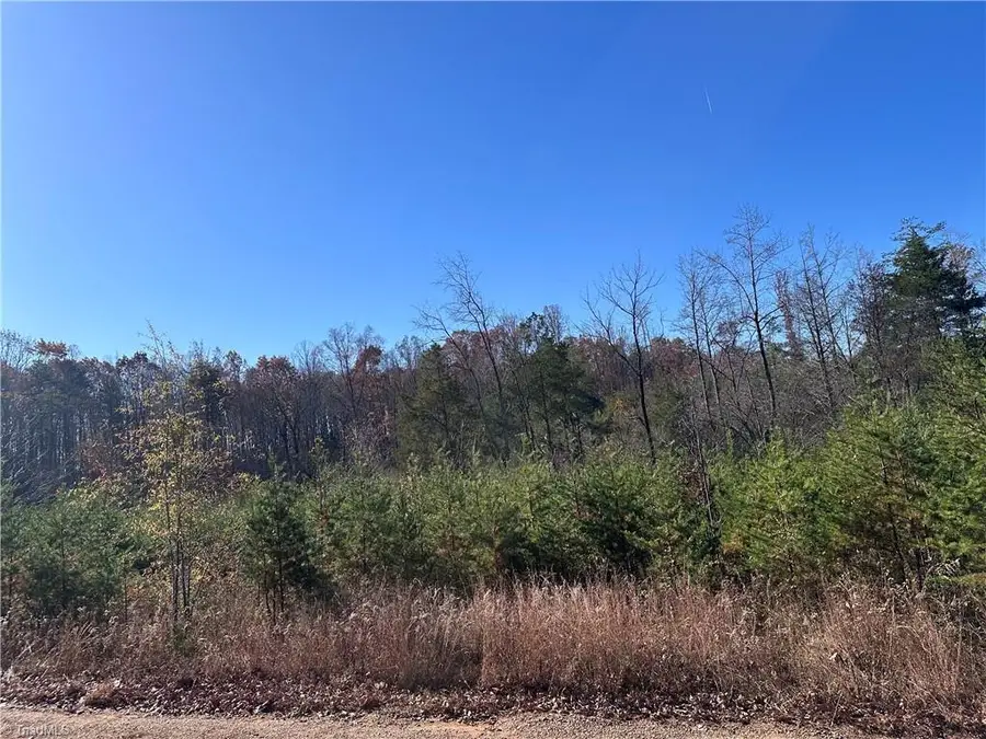 5 Stephens Trail Road, Sandy Ridge, NC 27046 - Image #2