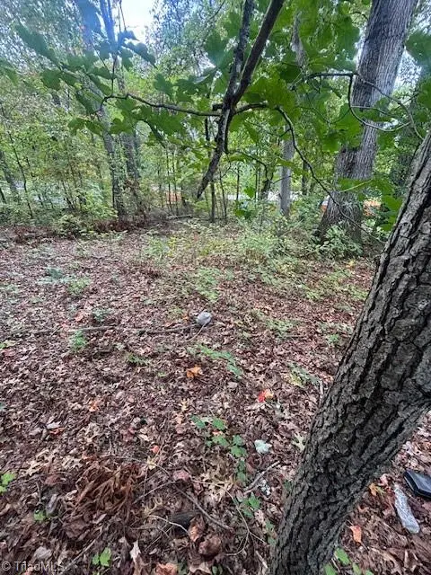 4946 Wilkes Drive, Winston Salem, NC 27106 - Image #3