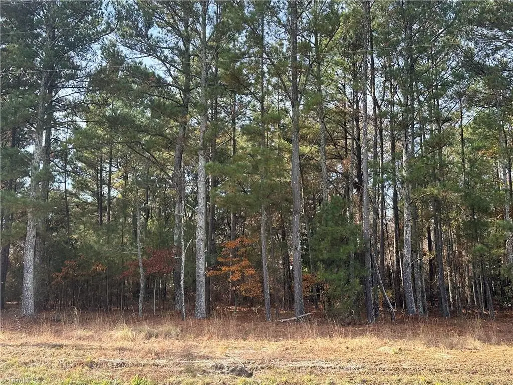 Lot 1 Windblow Road, Jackson Springs, NC 27281 - #1