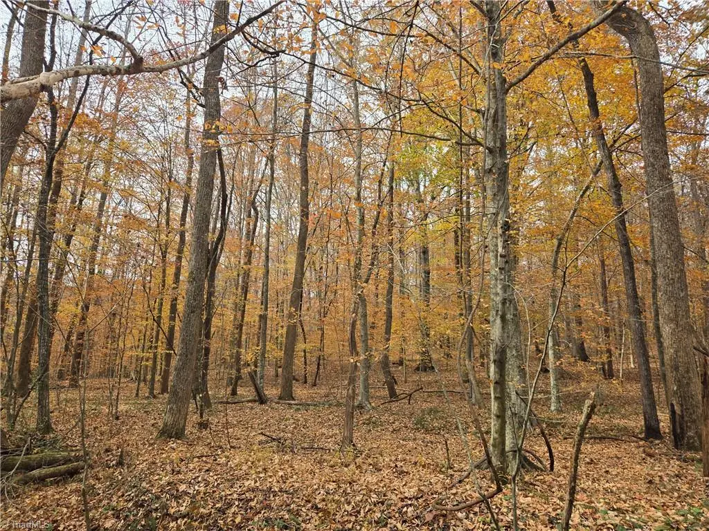 4901 & 4927 Montford Road, Pfafftown, NC 27040 - #1