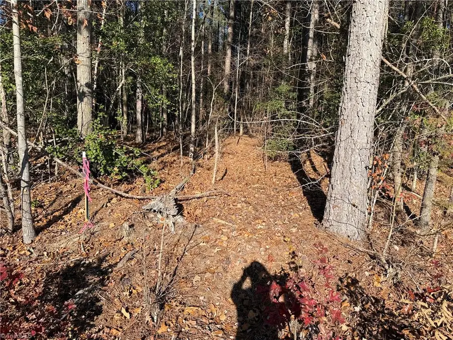 19.6 acres Willie Road, Seagrove, NC 27341 - Image #3