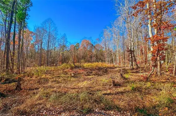 170 Hash Lane, Summerfield, NC 27358