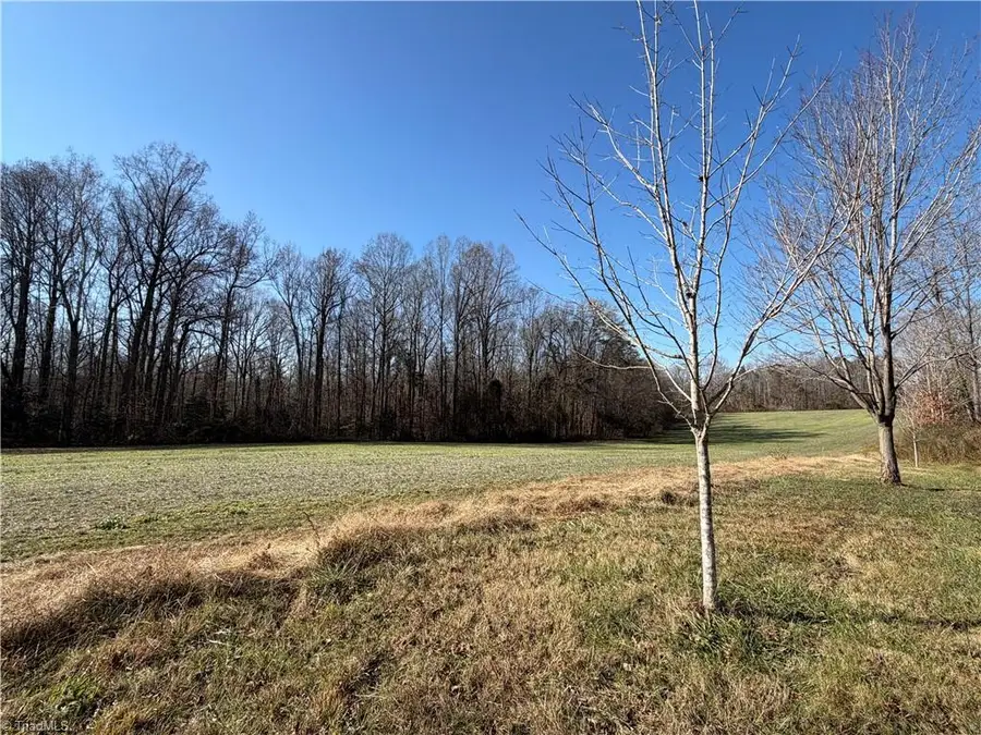 0 Conrad Road, Lewisville, NC 27023 - Image #2