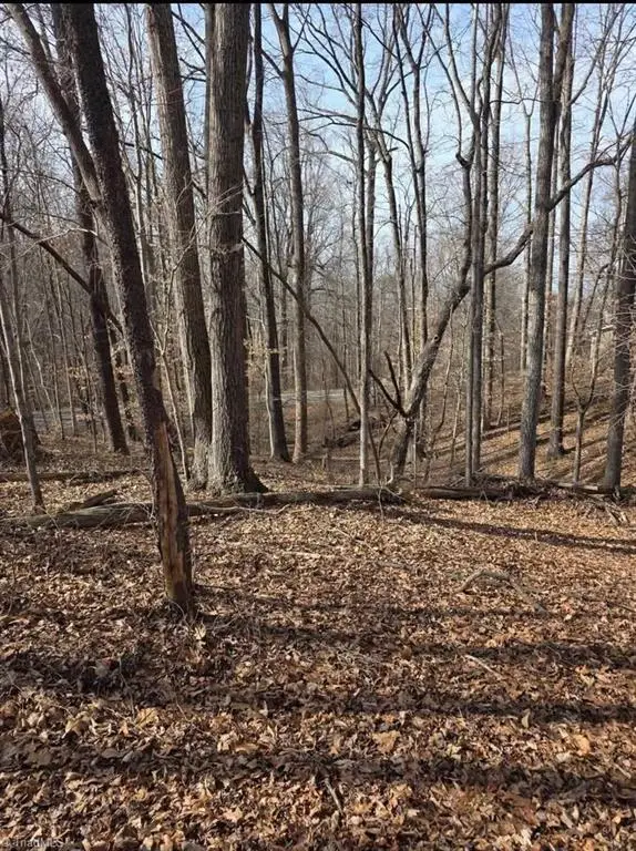 1065 Cedar Lane, Reidsville, NC 27320 - Image #3