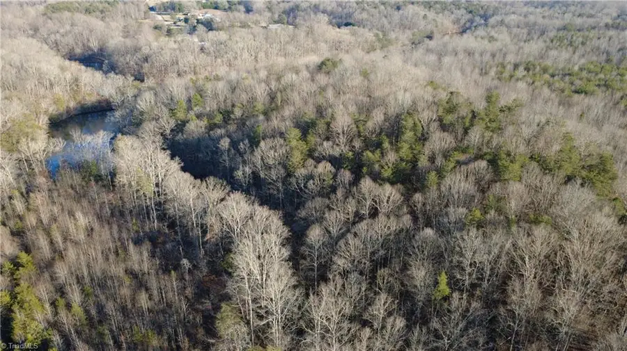 0000 Mulberry Academy Street, Franklinville, NC 27248 - Image #2