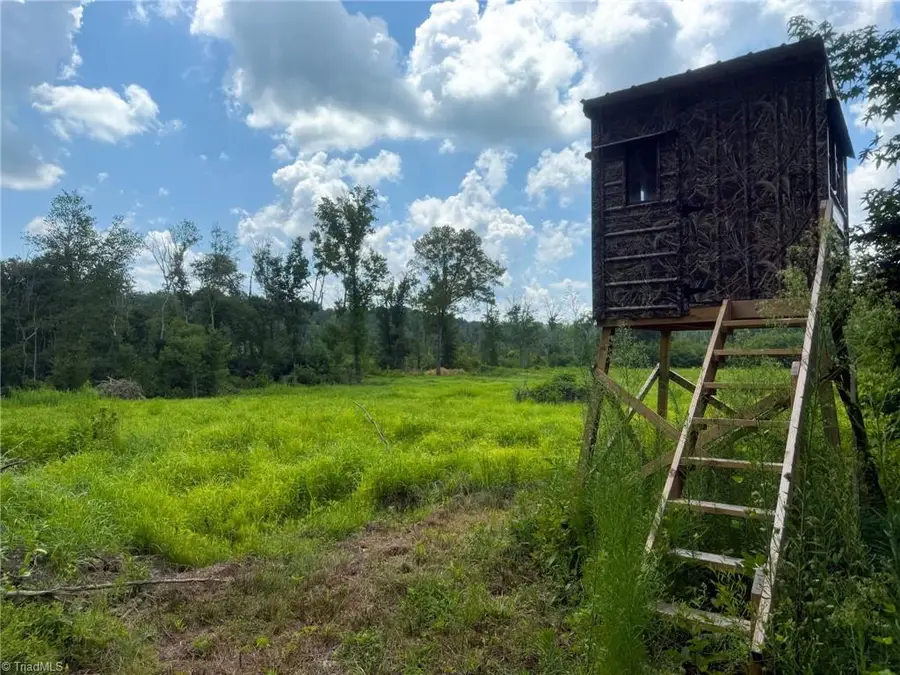 252 Palm Road, Reidsville, NC 27320 - Image #3