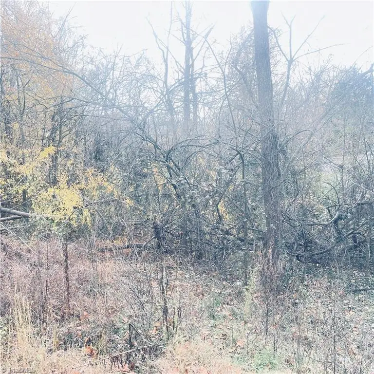 0 First Street, Eden, NC 27288 - Image #3