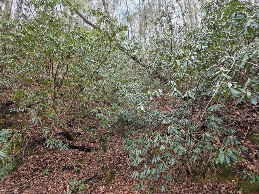 Lot 106 Holleridge Road, Ferguson, NC 28624 - Image #2