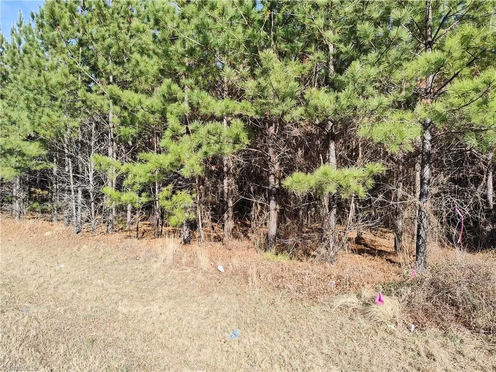 Lot 7 Windblow Road, Jackson Springs, NC 27281 - Image #1