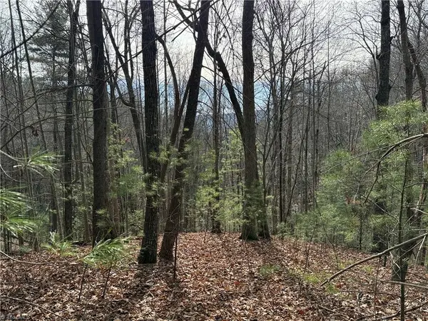 Lot 21 Buck Mountain Road, Purlear, NC 28665
