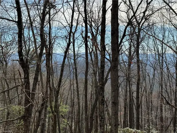 Lot 36 Bobcat Mountain Road, Purlear, NC 28665