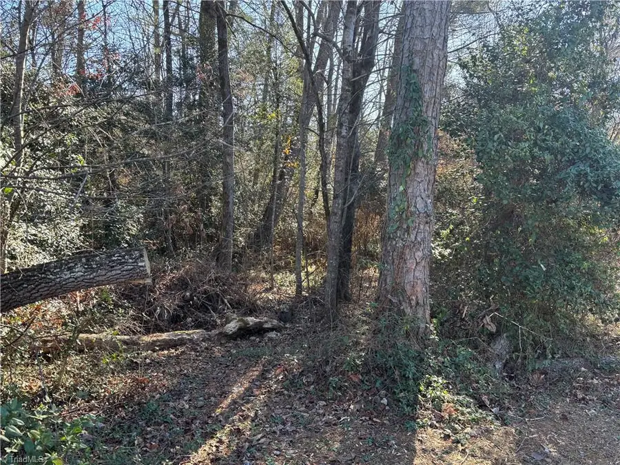 00 Sedgefield Circle, Wilkesboro, NC 28697 - Image #2