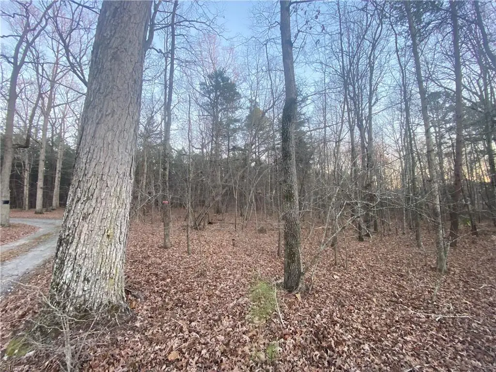 4707 Jaylee Place, Julian, NC 27283 - Image #1