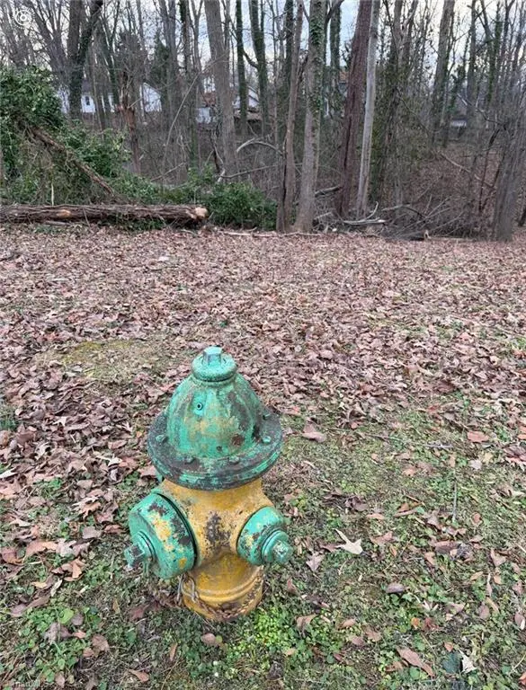 0 Hilton Drive, Winston Salem, NC 27127 - Image #3