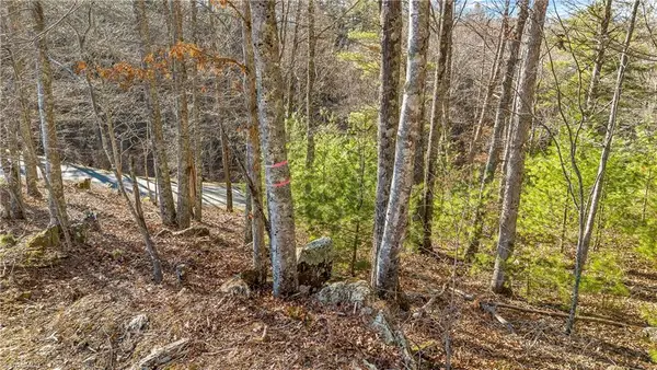 TBD River Stone Drive, Laurel Springs, NC 28644