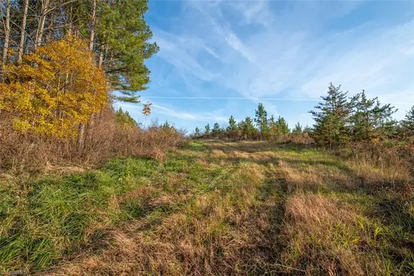 00 Lady Mary Road, Stoneville, NC 27048