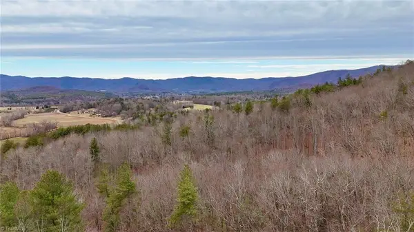 000 Big Rock Lane, Lowgap, NC 27024