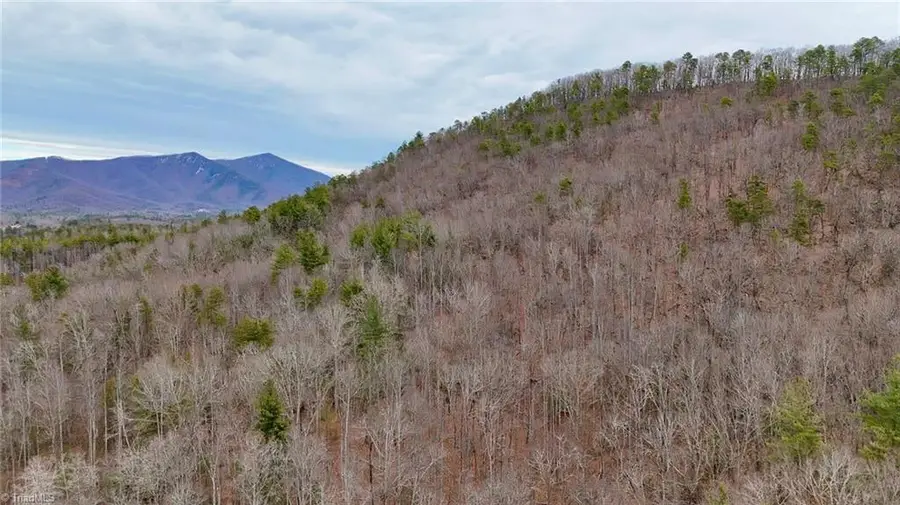 000 Big Rock Lane, Lowgap, NC 27024 - Image #2