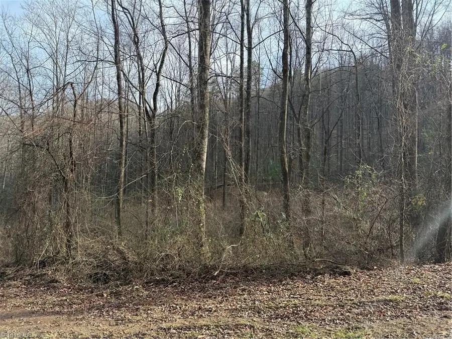 00 Longbottom Road, McGrady, NC 28649 - Image #3