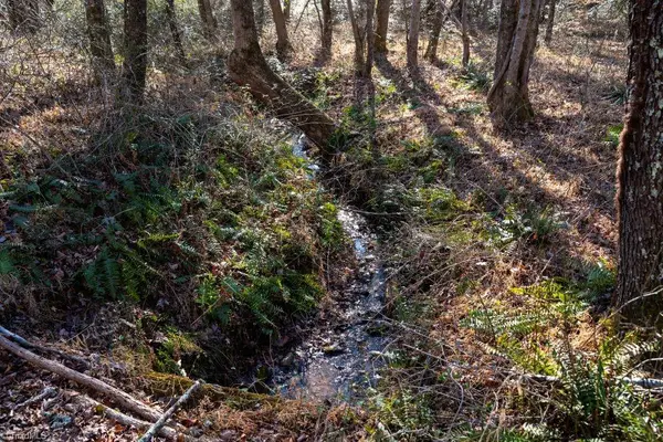 Lot 6 Morosko Lane, Pilot Mountain, NC 27041