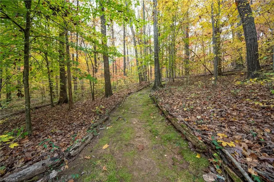 176 Forest Meadow Lane, Clemmons, NC 27012 - Image #3