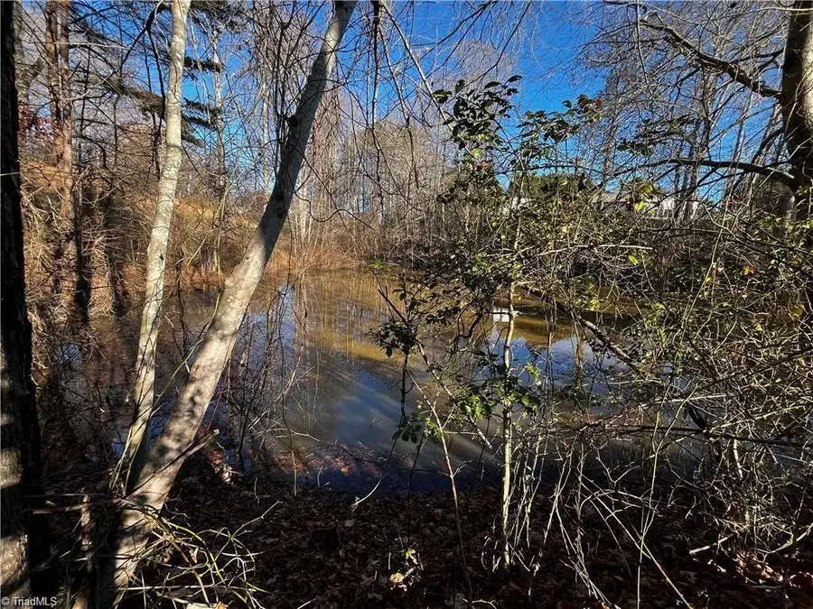 0000 Virgilina Circle, Cana, VA 24317 - Image #3